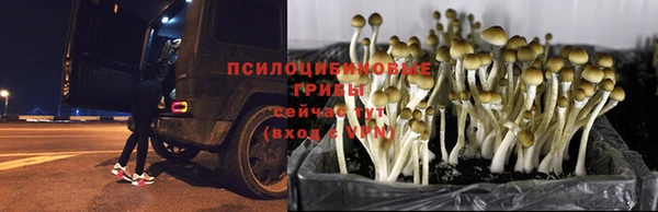 метамфетамин Алзамай