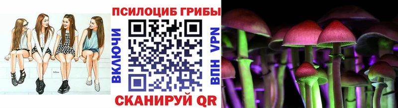 Галлюциногенные грибы GOLDEN TEACHER  ОМГ ОМГ как зайти  Кыштым 